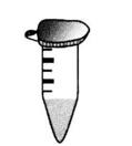 Guide of PCR-assisted Analysis of Protein-DNA Sequence Specificity