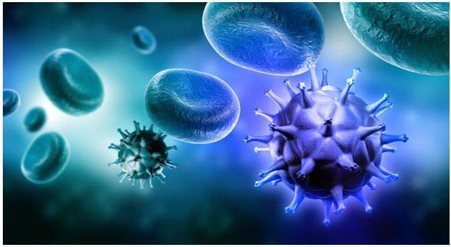 Host Cell Protein Mitigation