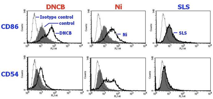 Human Cell Line Activation Test (h-CLAT)