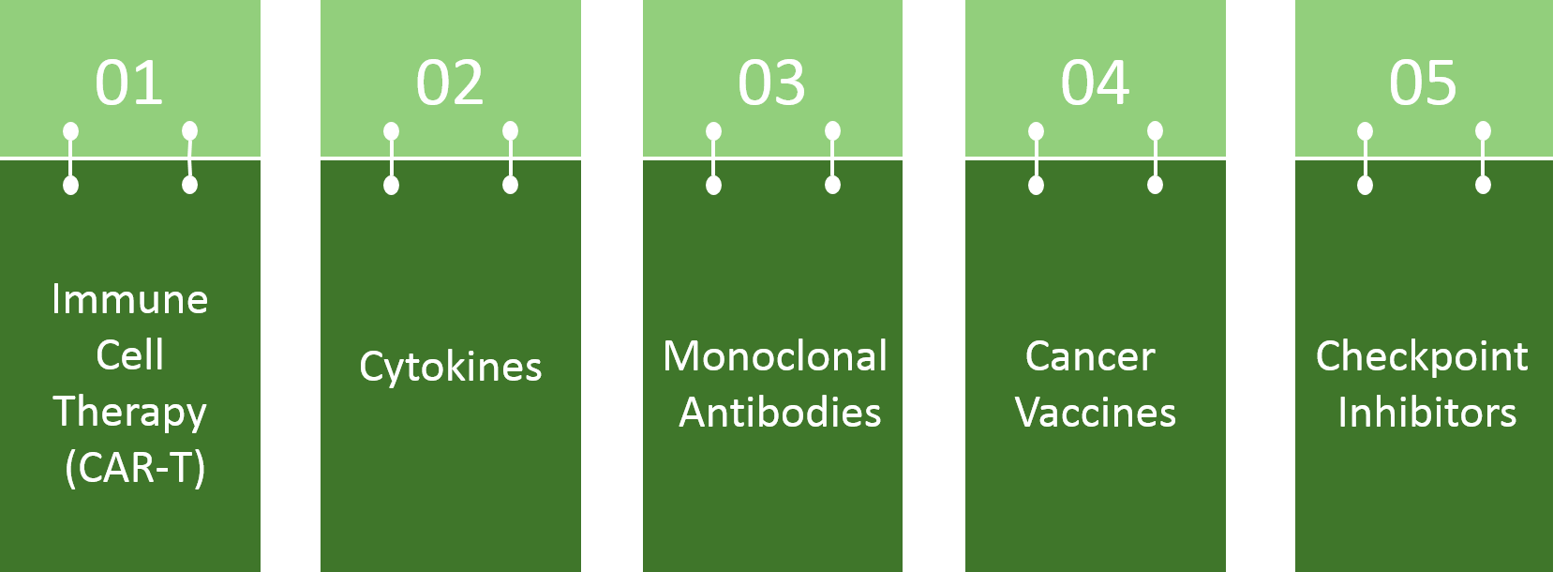 Immune Checkpoint Proteins