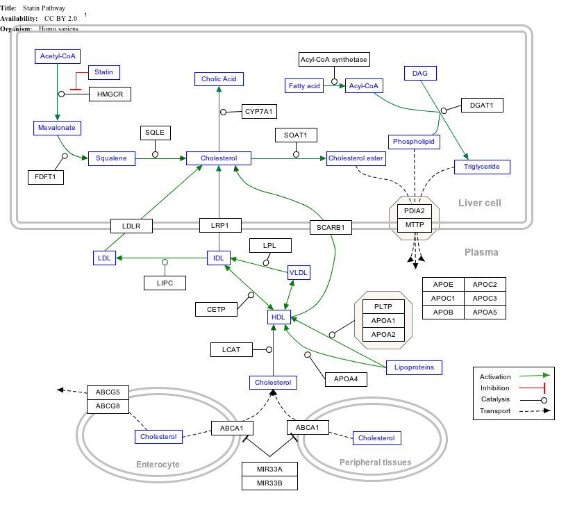 Lipid Transfer Assay