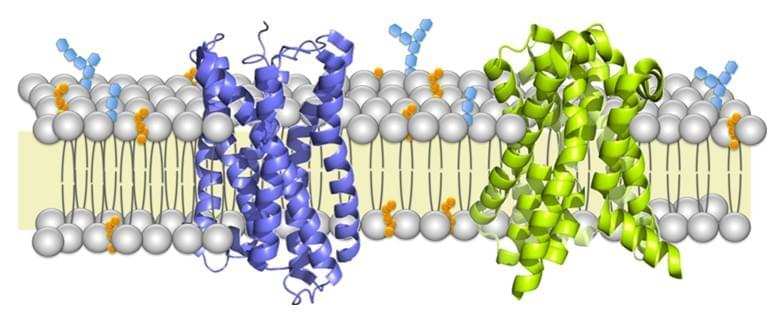 Lipidsome Based Membrane Protein Production