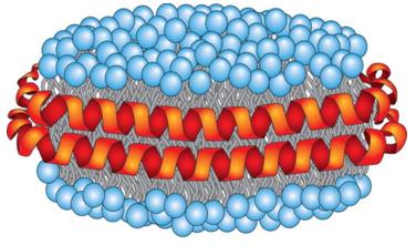 Membrane protein platform: Nanodisc 