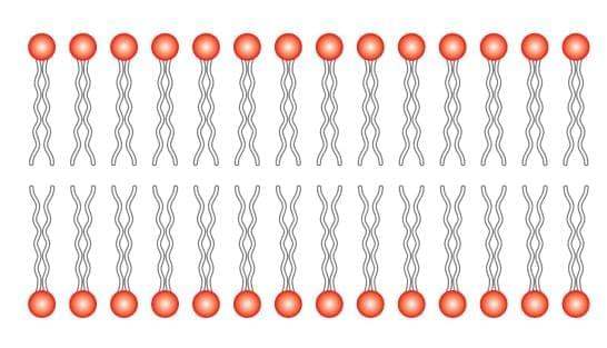 Oxidative Stress Assay