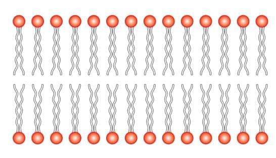 Oxidative Stress Assay