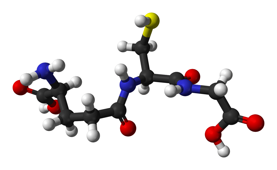 Oxidative Stress Assay