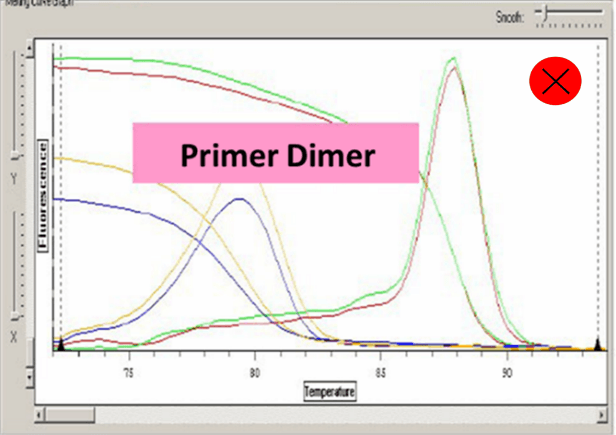 Primer Dimer