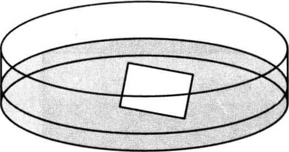 Principle and Protocol of Coomassie Brilliant Blue