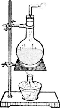 Principal and Protocol of Kjeldahl Method