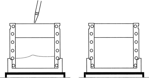 Principle and Protocol of SDS-PAGE