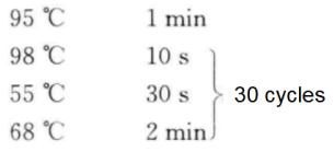 Principal and Protocol of Yeast One-hybrid Analysis