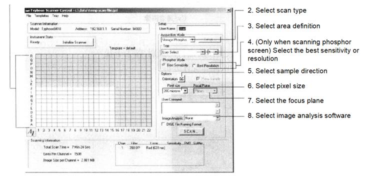 Principle and Protocol of Fluorescence