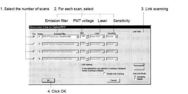 Principle and Protocol of Fluorescence