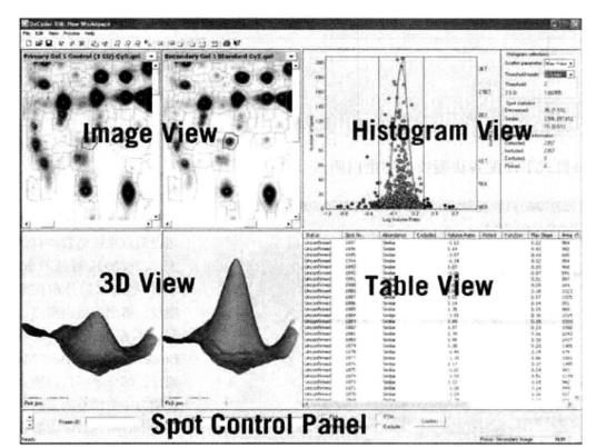 Principle and Protocol of Fluorescence