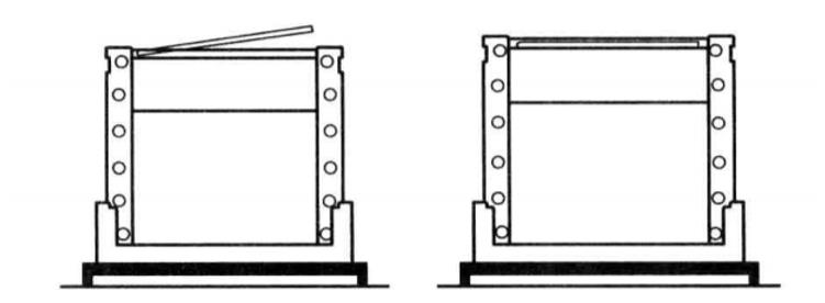 Principle and Protocol of the PRO Q Diamond Staining