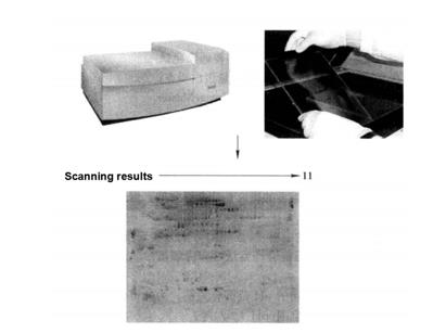 Principle and Protocol of the PRO Q Diamond Staining