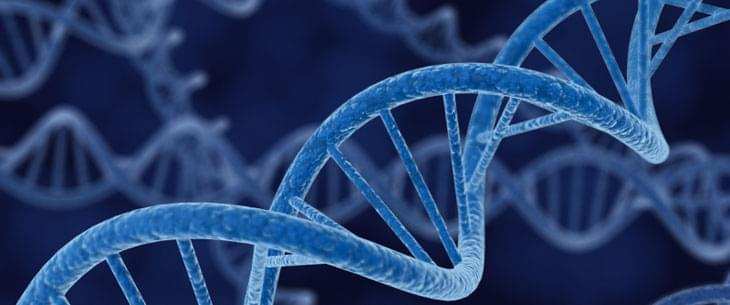 Protein Acetylation Assay