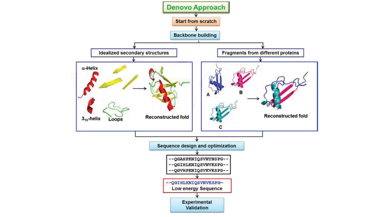 De novo design known as inverse protein folding problem.