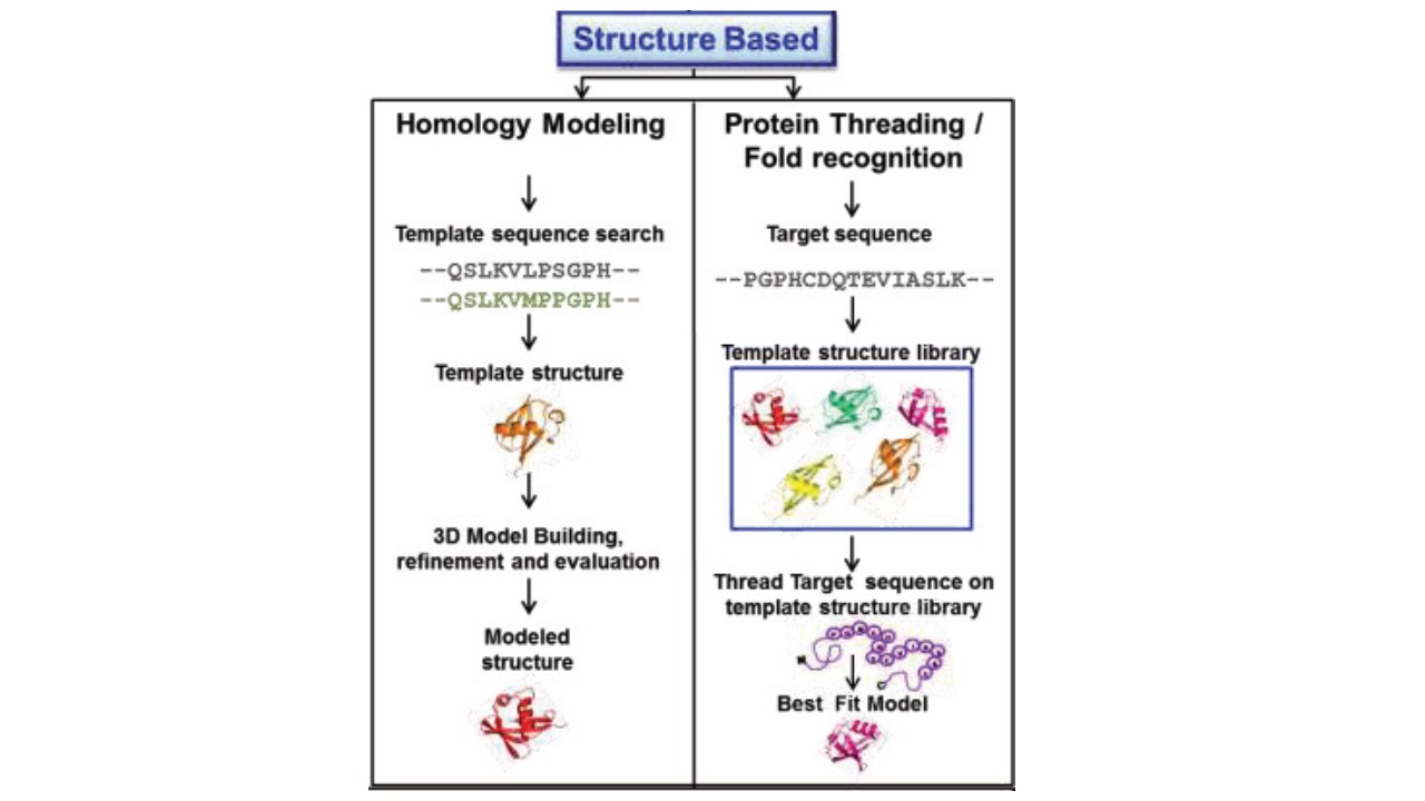 Rational design with structure based tools.