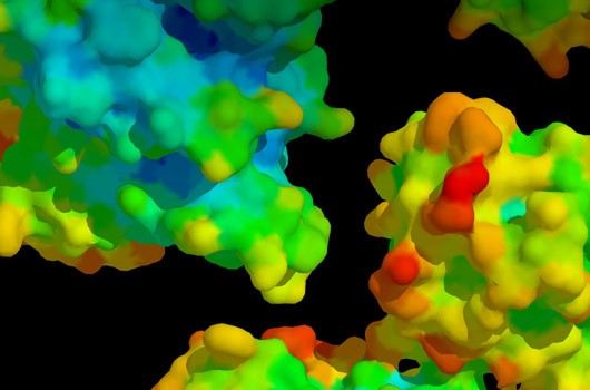 Protein Interaction (1) Overview