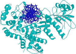  Fig2.  Protein-DNA Interactoi