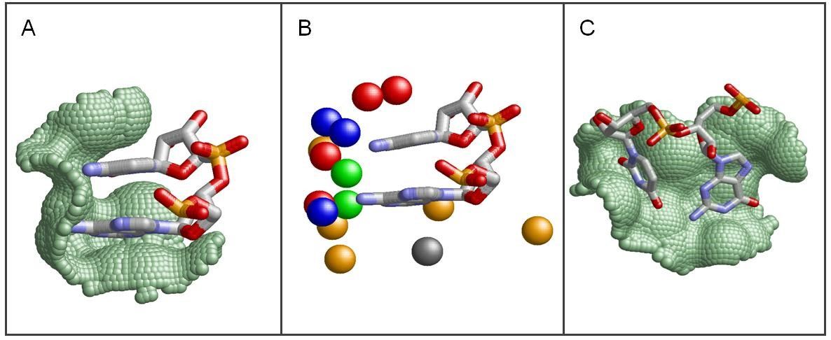 Fig3. Protein-RNA Interaction