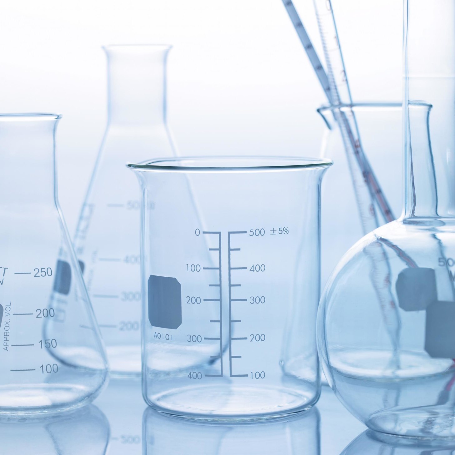 Protein Methylation Assay