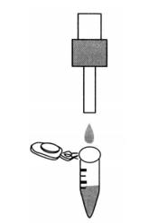 Protocol of Affinity Enrichment of Phosphorylated Proteins