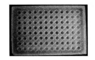 Protocol of Immobilized Metal Affinity Chromatography