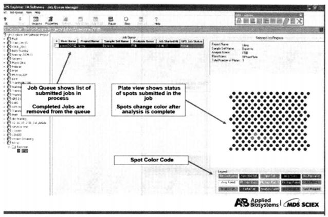 Protocol of Mass Spectrometry Identification of Gel Separated Samples