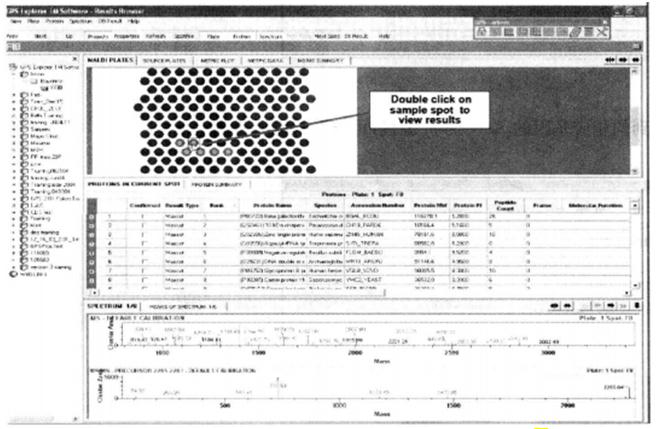 Protocol of Mass Spectrometry Identification of Gel Separated Samples