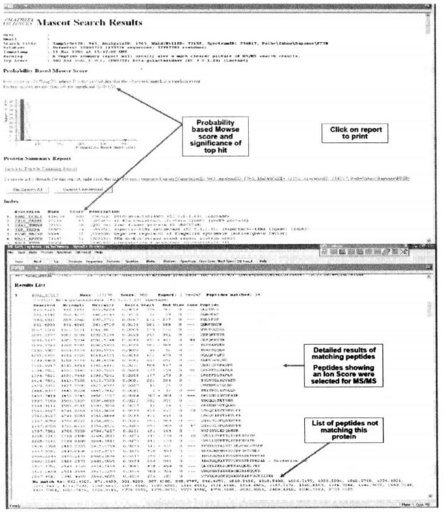 Protocol of Mass Spectrometry Identification of Gel Separated Samples