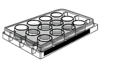 Cell selection