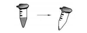 Protocol of the Detection of 32P Radioactive Markers