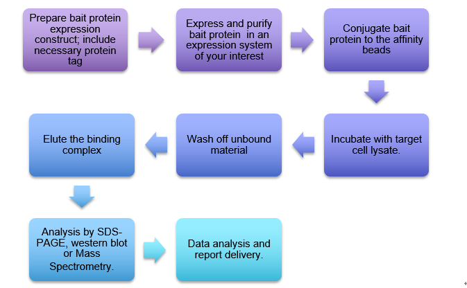 Pull-Down Assays