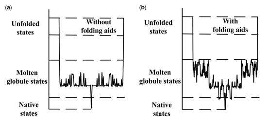 Free-energy Gradient