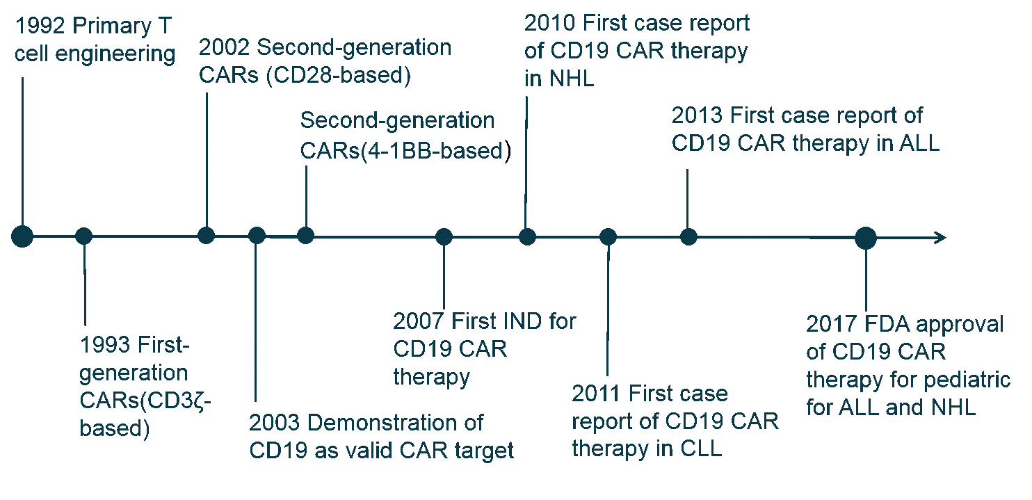 Targets of CAR-T Cell Therapy
