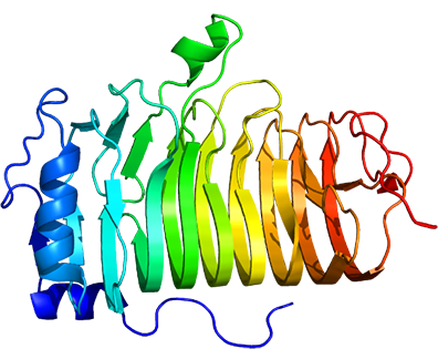 Targets of CAR-T Cell Therapy