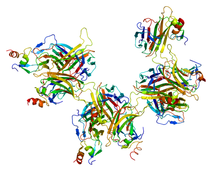 Targets of CAR-T Cell Therapy