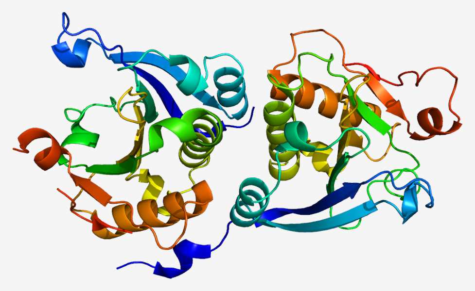 Translational Regulator Proteins Creative Biomart
