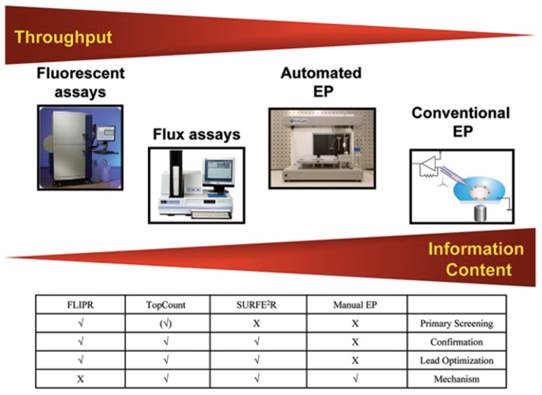 Transporter Screening Assays