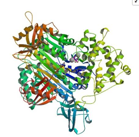 Crystal structure of human ubiquitin activating enzyme E1 (Uba1) in complex with ubiquitin.