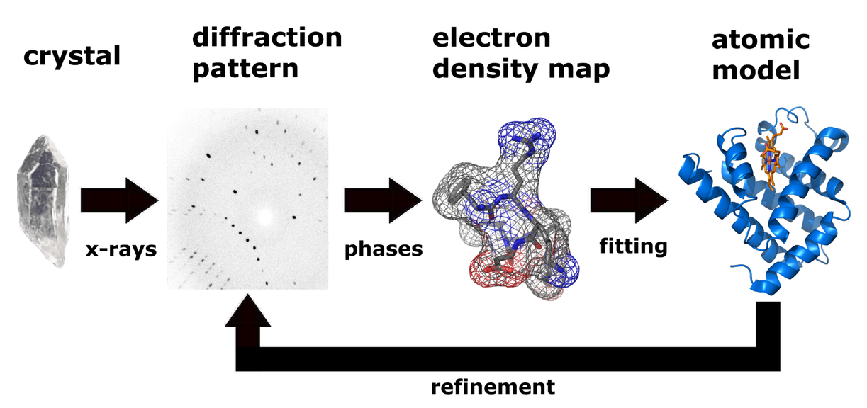 X-ray Crystallography