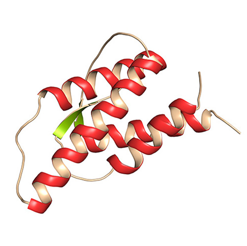 Avi-labeled  proteins