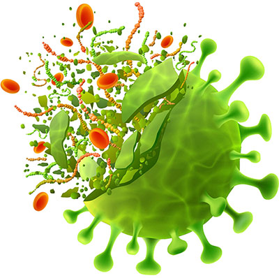 SARS-CoV-2-related  proteins