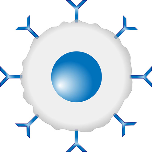 Efficient Residual DNA Quantitation