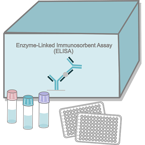 Assay Kit