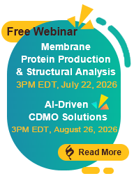 AI-Driven CDMO Solutions for Advanced Protein Expression and Antibody Drug Development