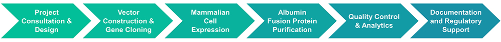 Albumin fusion protein production service procedure.