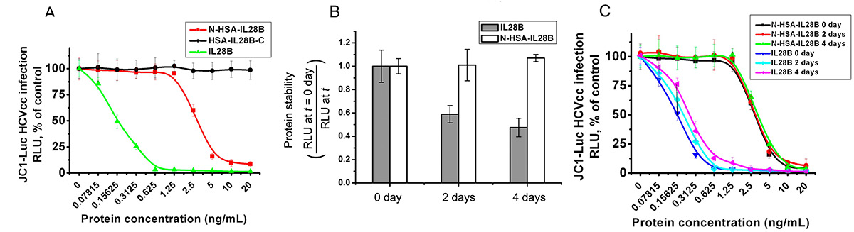 Production and characterization of albumin–interleukin-28B fusion protein: biological activity and stability